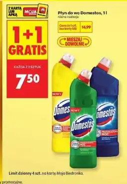 Biedronka Płyn do WC Domestos 1 l oferta