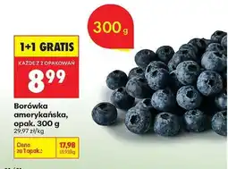 Biedronka Borówka amerykańska opak 300 g oferta