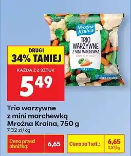 Biedronka Trio warzywne z mini marchewką Mroźna Kraina 750 g oferta