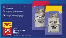 ALDI CACHET Karma sucha Classic oferta