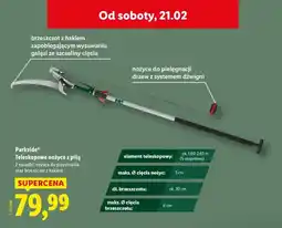 Lidl Teleskopowe nożyce z piłą oferta