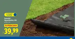 Lidl Agrowłóknina, XXL oferta