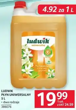 Selgros Płyn uniwersalny Ludwik 5 L dwa rodzaje oferta