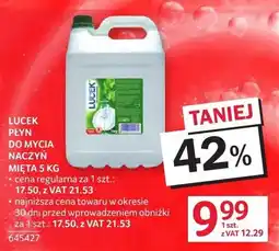 Selgros Płyn do mycia naczyń Lucek oferta