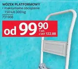 Selgros Wózek platformowy oferta