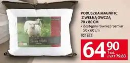 Selgros Poduszka MAGNIFIC Z WEŁNĄ OWCZĄ 70 x 80 CM oferta