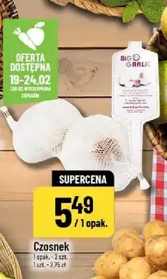 Polomarket Czosnek oferta