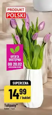 Polomarket Tulipany oferta