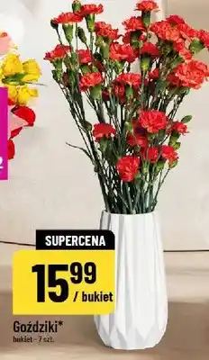 Polomarket Goździki oferta
