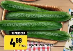 Polomarket Ogórek szklarniowy oferta