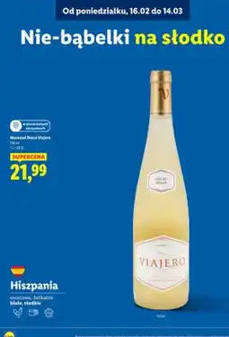 Lidl Wino musujące białe słodkie owocowe delikatne oferta