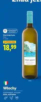 Lidl Wino Garda białe wytrawne oferta