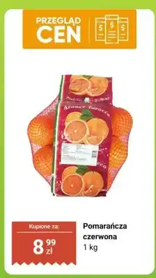 Dino Pomarańcza czerwona oferta