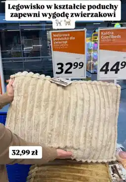 Action Welurowa poduszka dla zwierząt, różne warianty oferta