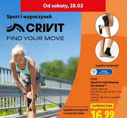 Lidl Opaska na staw kolanowy lub skokowy oferta