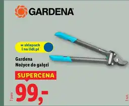 Lidl Nożyce do gałęzi oferta