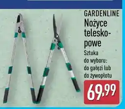 ALDI Nożyce teleskopowe sztuka oferta