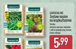 ALDI Zestaw nasion na krążku/taśmie oferta