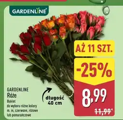 ALDI Róże bukiet do wyboru różne kolory m.in. czerwone, różowe lub pomarańczowe oferta