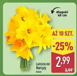 ALDI Narcyzy bukiet oferta