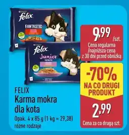 ALDI Karma mokra dla kota oferta