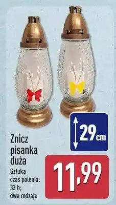 ALDI Znicz pisanka duża oferta