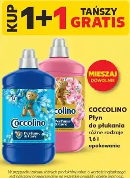 Kaufland Coccolino Płyn do płukania różne rodzaje oferta