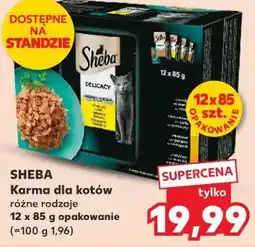 Kaufland Sheba Karma dla kotów różne rodzaje 12 x 85 g opakowanie oferta