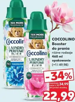 Kaufland Coccolino Booster do prania różne rodzaje oferta