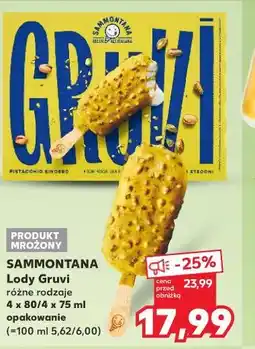 Kaufland SAMMONTANA Lody Gruvi różne rodzaje oferta