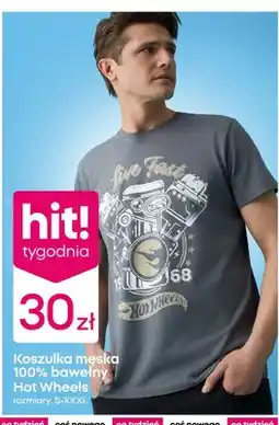 Pepco Koszulka męska 100% bawełny oferta