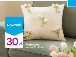 Pepco Poduszka 45x45 cm oferta