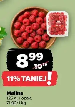 Netto Malina oferta