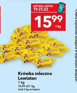 Lewiatan Krówka mleczna oferta