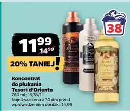 Netto Koncentrat do płukania oferta