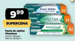 Netto Pasta do zębów, różne rodzaje oferta