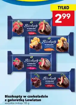 Lewiatan Biszkopty w czekoladzie z galaretką różne rodzaje oferta