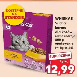 Kaufland Sucha karma dla kotów różne rodzaje oferta