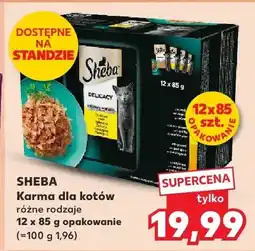 Kaufland Karma dla kotów różne rodzaje oferta