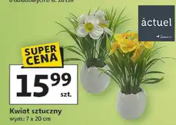 Auchan Kwiat sztuczny oferta