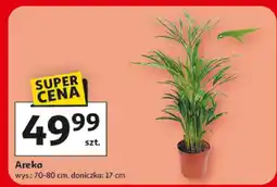 Auchan Areka oferta