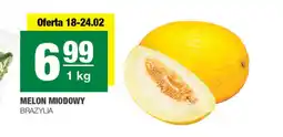 EuroSPAR Melon oferta