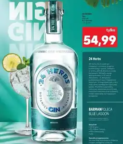 Kaufland Gin 24 Herbs oferta