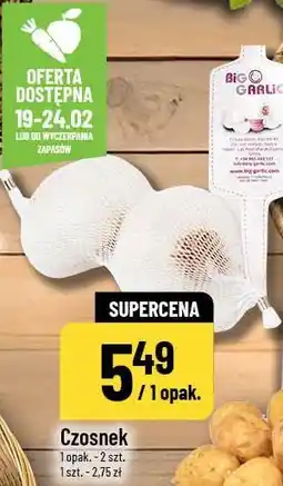 Polomarket Czosnek oferta