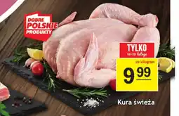 Gram Market Kura świeża oferta