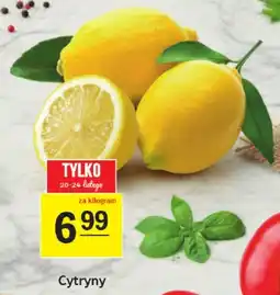 Gram Market Cytryny oferta