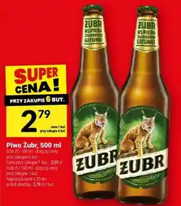 Twój Market Piwo Żubr oferta