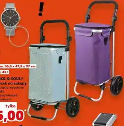 Kaufland Wózek na zakupy z regulowaną rączką oferta