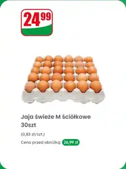 Dino Jaja świeże ściółkowe, 30 szt oferta