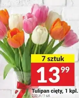 Twój Market Tulipan cięty oferta